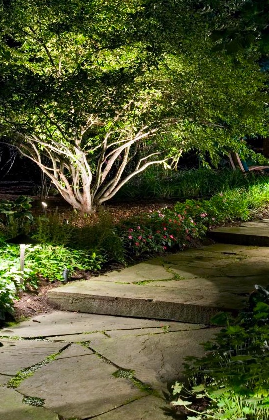 landscape-lighting-services Sample photo of led landscape lighting installation