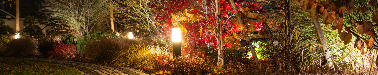 elegant-garden-path-illuminated-by-lights-surround