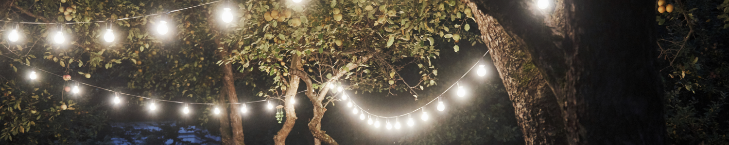 luxury-dinner-evening-time-friends-have-a-dinner