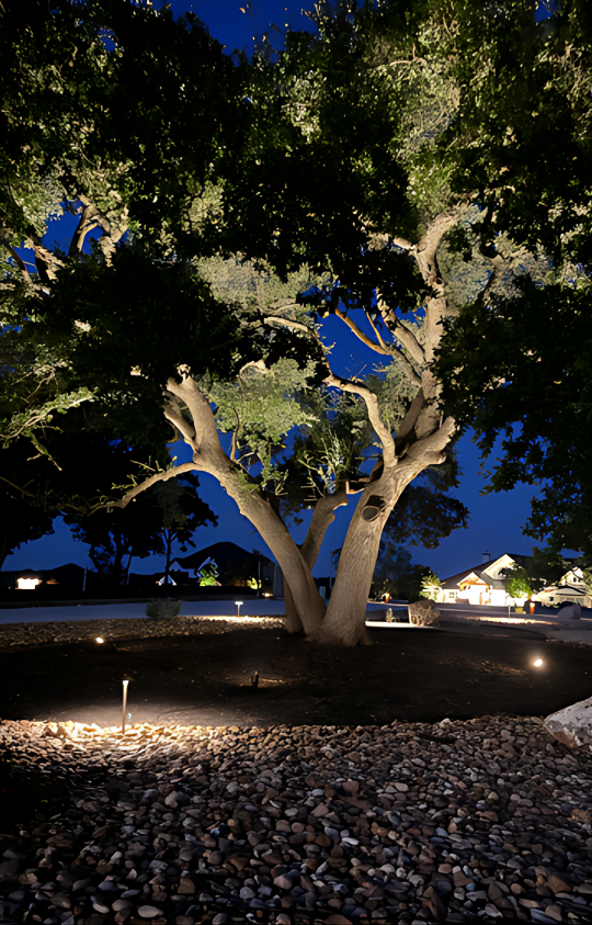 tree lighting services delta outdoor